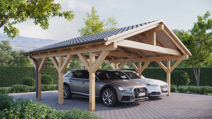 Carport 65-60 3D rendering