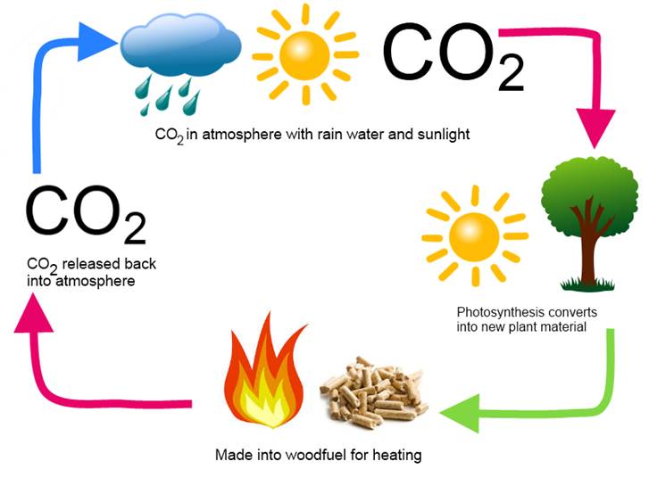 CO2 neutral